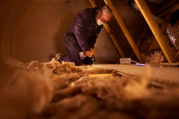 Best Attic Insulation Installation  in Ferndale, MD